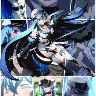 Akame ga Kill! mobile wallpaper