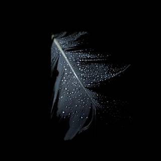 Unique mobile wallpaper