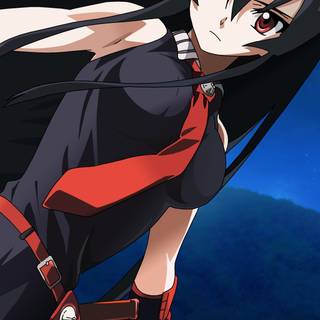 Akame ga Kill! mobile wallpaper