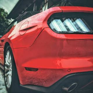 Ford Mustang GT mobile wallpaper