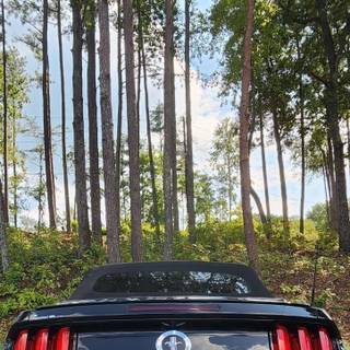 Ford Mustang GT mobile wallpaper
