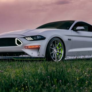 Ford Mustang GT mobile wallpaper