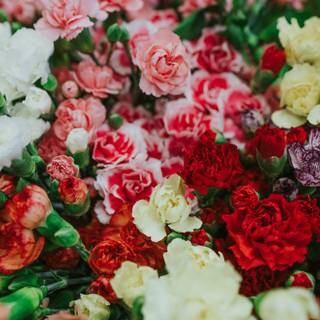 Fresh flowers wallpaper