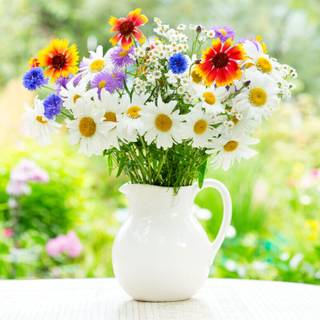 Fresh flowers wallpaper