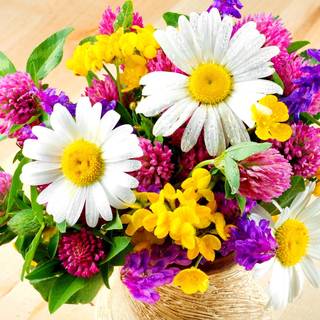 Fresh flowers wallpaper