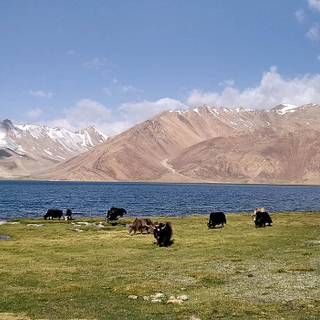 Pamir Mountains wallpaper