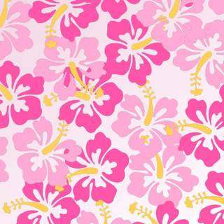 Pink Hibiscus wallpaper