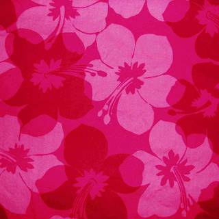 Pink Hibiscus wallpaper