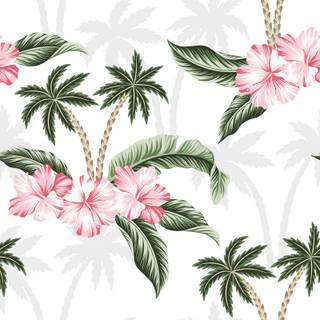 Pink Hibiscus wallpaper