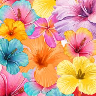 Hibiscus wallpaper
