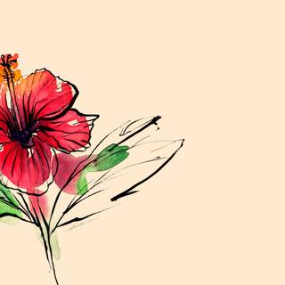 Hibiscus wallpaper