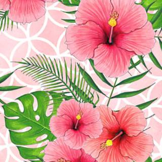 Hibiscus wallpaper
