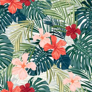 Hibiscus wallpaper