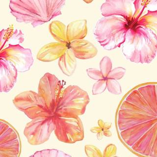 Hibiscus wallpaper
