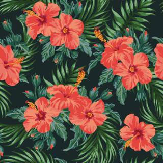 Hibiscus wallpaper