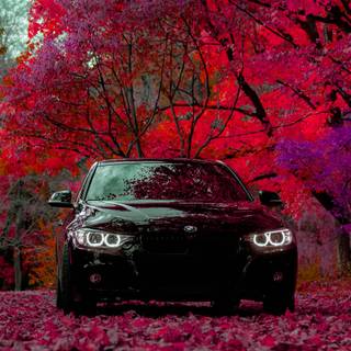 Black red car wallpaper