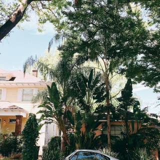 Vintage Porsche iPhone wallpaper