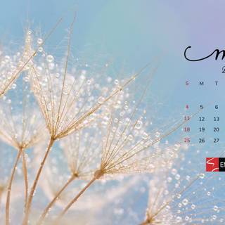 May 2025 calendar wallpaper