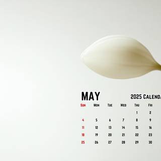 May 2025 calendar wallpaper