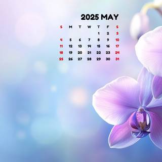 May 2025 calendar wallpaper