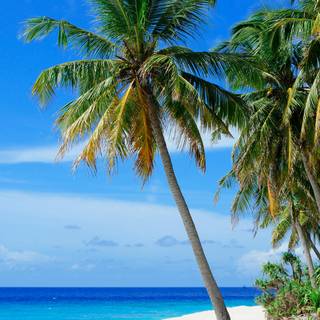 Beach 8k Android wallpaper