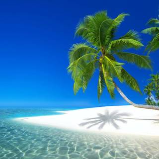 Island aesthetic wallpaper