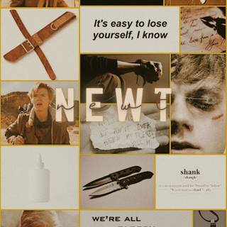 Aesthetic Maze Runner wallpaper