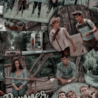 Aesthetic Maze Runner wallpaper