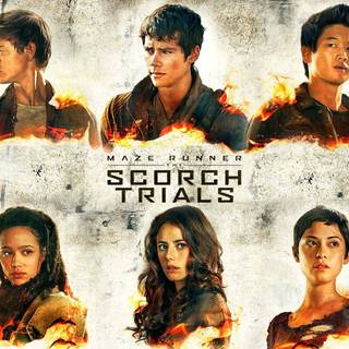 Aesthetic Maze Runner wallpaper