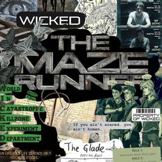 Aesthetic Maze Runner wallpaper