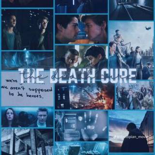 Aesthetic Maze Runner wallpaper