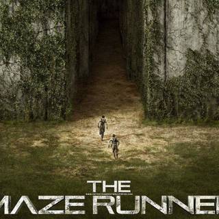 Aesthetic Maze Runner wallpaper