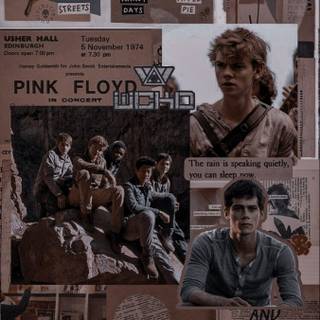 Aesthetic Maze Runner wallpaper