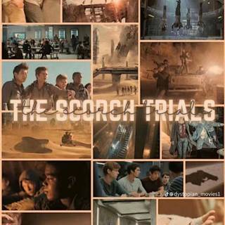 Aesthetic Maze Runner wallpaper