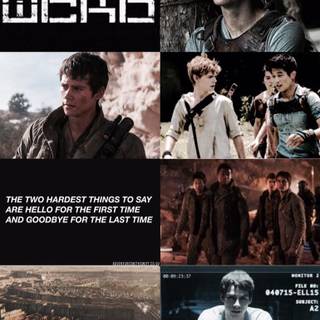 Aesthetic Maze Runner wallpaper