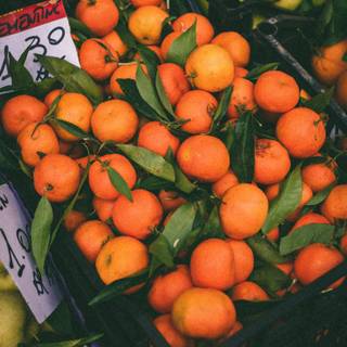 Orange fruit 8k wallpaper