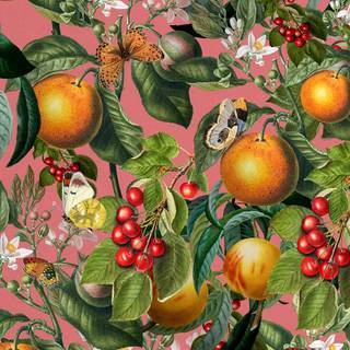 Orange green iPhone wallpaper