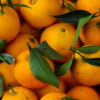 Orange fruit 8k wallpaper