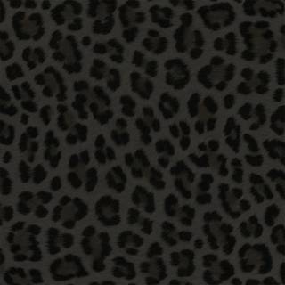Leopard print grey wallpaper