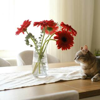 Cat with flowers desktop wallpaper