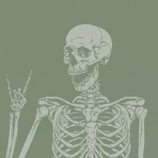 Skeleton sketch wallpaper