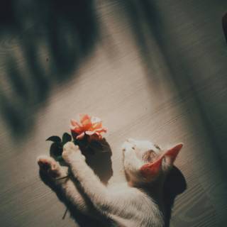 Cats in flowers wallpaper