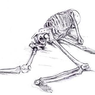 Skeleton sketch wallpaper