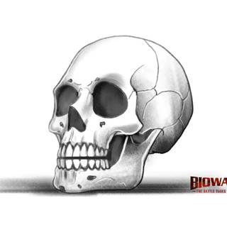 Skeleton sketch wallpaper