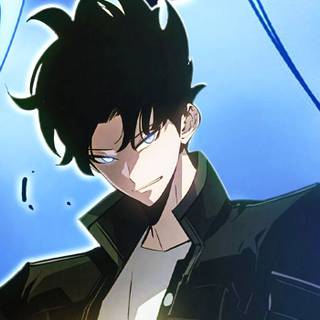 Solo Leveling: Ragnarok wallpaper