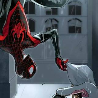 Female Spider-Man wallpaper