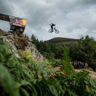 Red Bull Hardline wallpaper