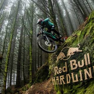 Red Bull Hardline wallpaper