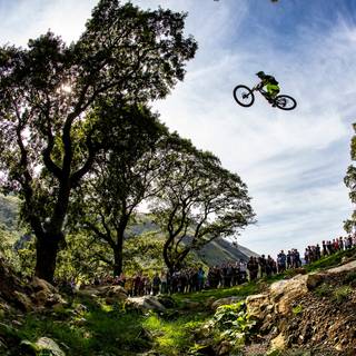 Red Bull Hardline wallpaper