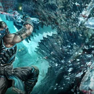 Mortal Kombat Arcade wallpaper